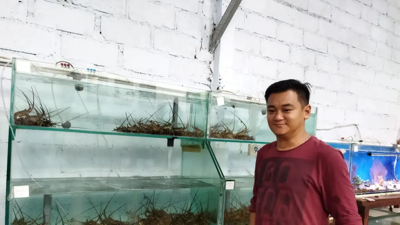Pembudidaya Lobster Hariyanto di Kampung Lobster, Bansring Banyuwangi (Istimewa)