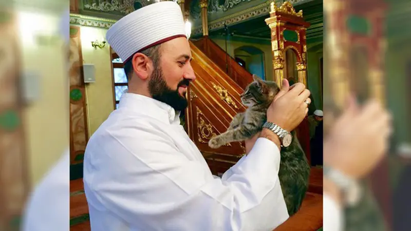 Keren, Masjid Ini Beri Tumpangan untuk Kucing Liar