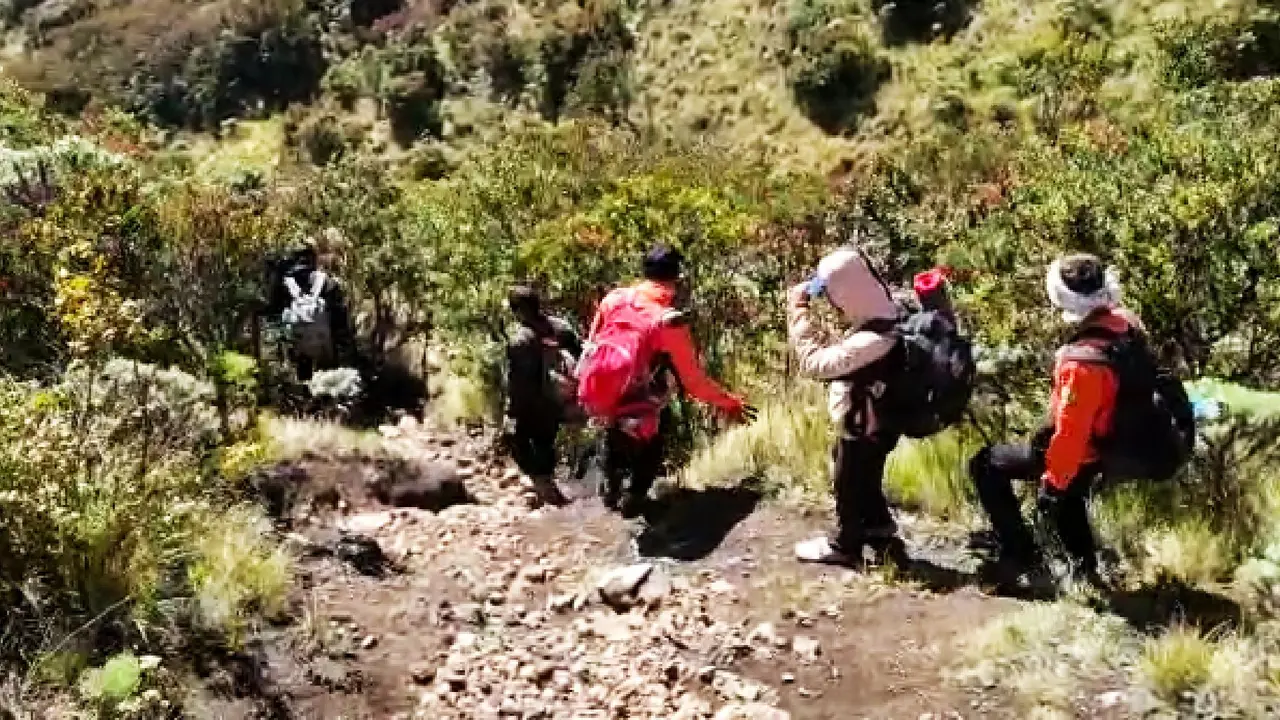 Pencarian pendaki hilang di Gunung Lawu. (Dian Kurniawan/Liputan6.com)