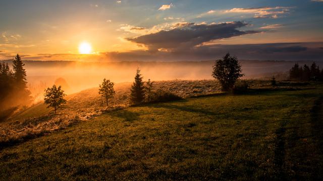 Ilustrasi ucapan selamat pagi