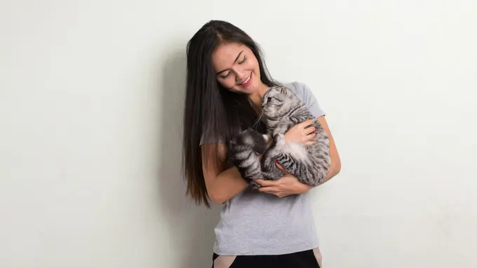 Less Drama! Begini Cara Adopsi Kucing yang Cocok dengan Kepribadianmu