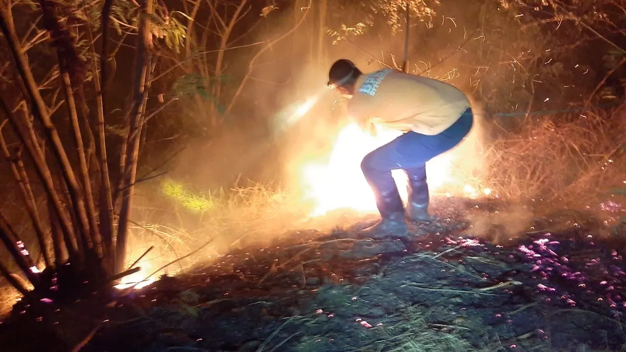 Petugas BPBD Situbondo berjibaku lakukan pemadaman  kebakaran lahan di perbukitan perumahan Panji Permai (Istimewa)