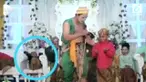 Rekaman video seorang anak kecil jatuh terjungkal dari kursinya akibat heboh tertawa.