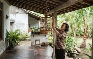 7 Cara Menata Kandang Burung Hias Agar Rumah Kecil Tidak Sumpek