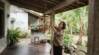 7 Cara Menata Kandang Burung Hias Agar Rumah Kecil Tidak Sumpek