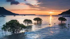 Tai O Sunset, keindahan alam dengan daya tarik matahari terbenam di Hong Kong. (Hong Kong Tourism Board/Jessica Li)