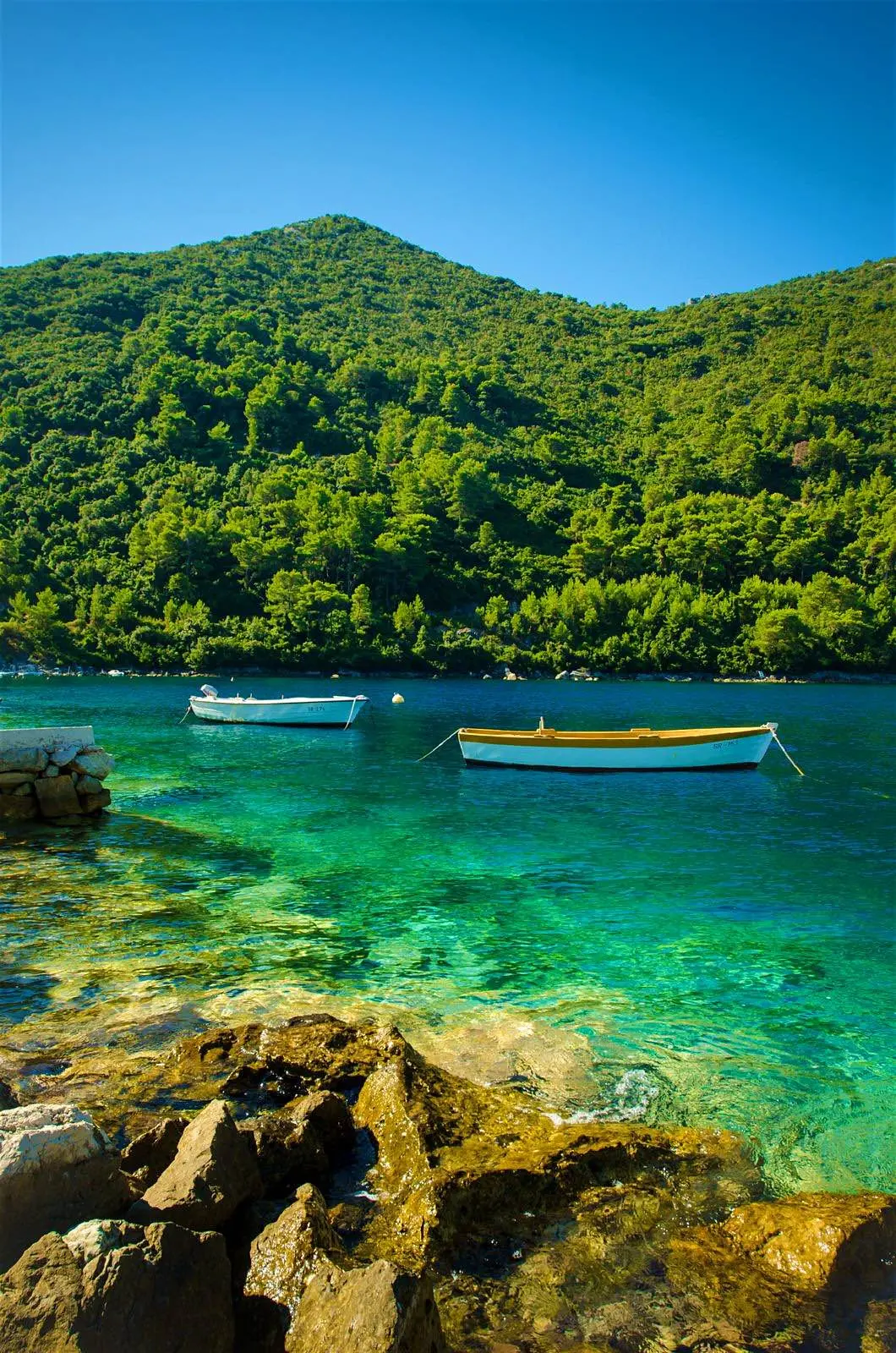 Mljet Island, Kroasia. (Sumber Foto: Marcos Mesa Sam Wordley/Shutterstock)