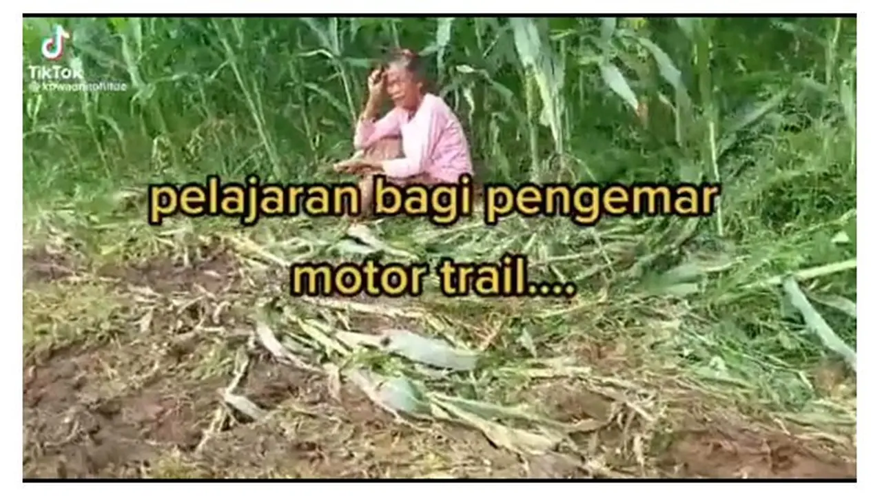 Diduga Ulah Pengendara Motor Trail, Nenek Ini Histeris Kebun Jagungnya Rusak