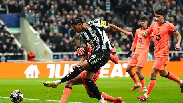 newcastle vs barcelona liga champions
