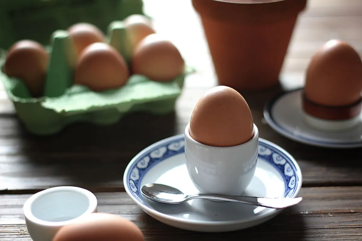 telur
