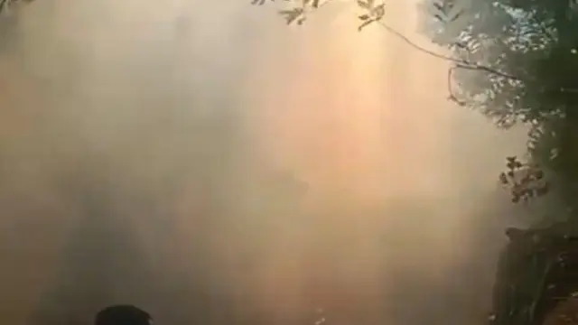 Kebakaran hutan di kawasan kawah Ijen. (Istimewa).