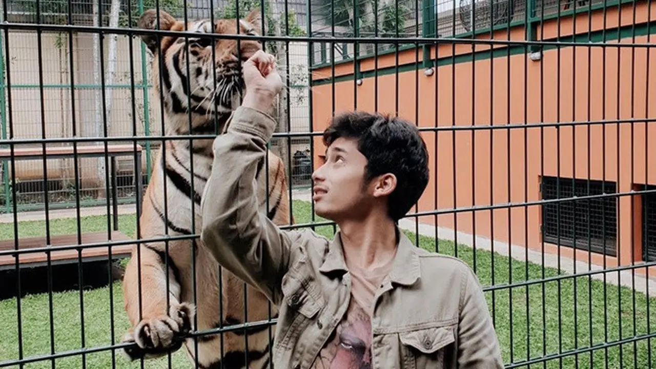 7 Potret Alshad Ahmad dengan Hewan, Sepupu Raffi Ahmad yang Pelihara Harimau Benggala