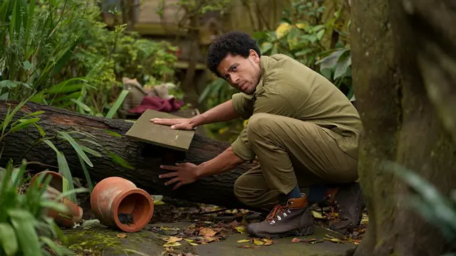 Cara Mendeteksi Keberadaan Anakan Ular di Kebun Lembap
