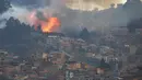 Kebakaran hutan terjadi di daerah perbukitan dekat Bogota , Kolombia, 2 Februari 2016. Kebakaran hutan ini terjadi hanya beberapa meter dari pemukiman penduduk. (REUTERS / John Vizcaino)