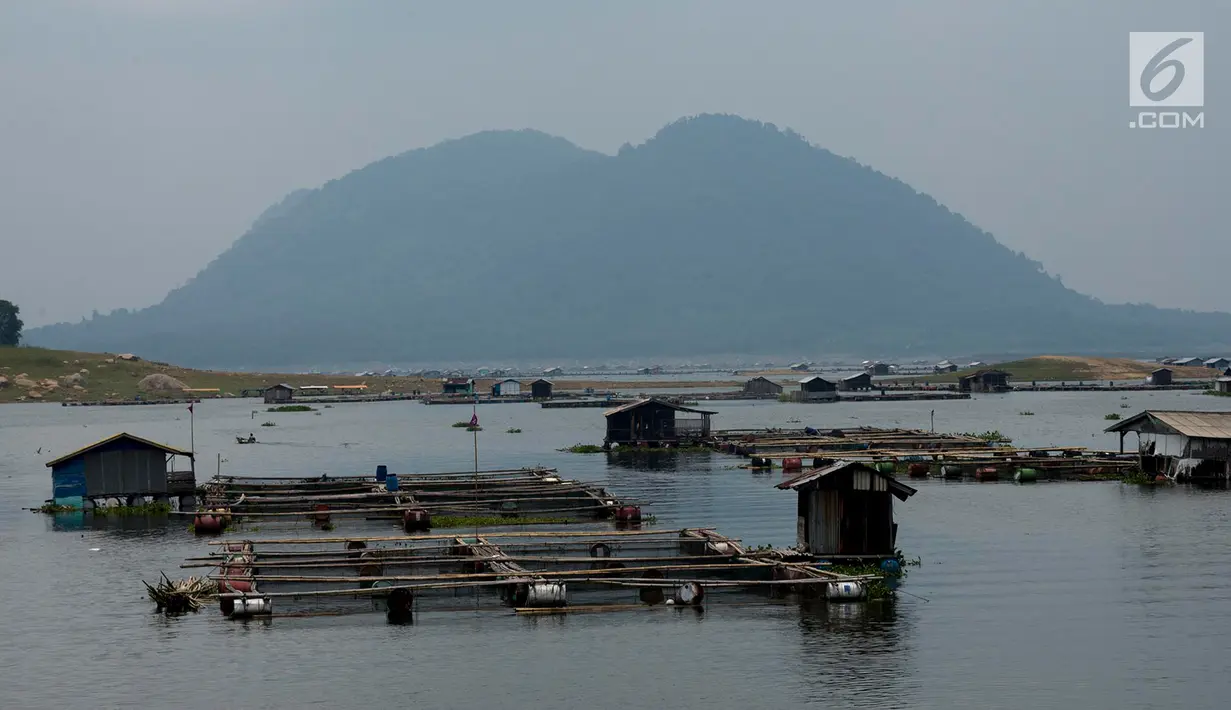 Suasana di Desa Panyinangan Kecamatan Sukatani, Waduk Jatiluhur, Purwakarta, Jawa Barat, (9/2). Petani merasa tidak berani untuk menabur benih ikan air tawar seperti bujaer, ikan mas dikarenakan curah hujan yang tinggi. (Merdeka.com/Imam Buhori)