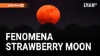 Strawberry Moon, Hiasi Langit dan Pukau Pengamat Bintang di Belahan Utara