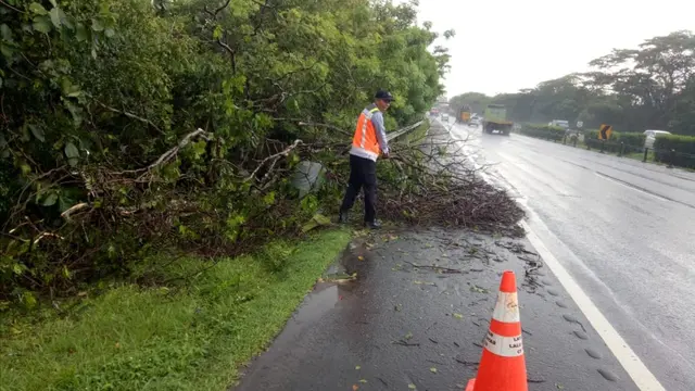 Pohon Tumbang Di Tol Tangerang-Merak Akibat Hujan Deras Disertai Angin Kencang. (Kamis, 16/04/2021).