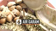 Beredar kabar air garam bisa meredam rasa panas usai makan durian. Benarkah demikian, selengkapnya dalam Hoax atau Bukan.