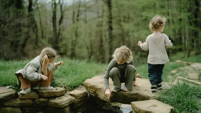 3. Tanam Pohon atau Berkebun Bersama