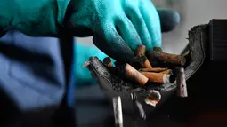 Puntung rokok disortir di pabrik MeGo di Bourg-Blanc, Perancis (29/5). Perusahaan MeGo ini mengolah limbah puntung rokok menjadi barang praktis sehari-hari seperti bangku jalanan.  (AFP/Fred Tanneau)
