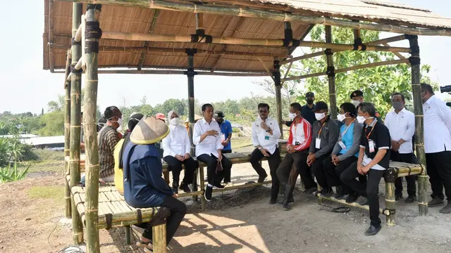 Presiden Joko Widodo atau Jokowi dan Ibu Negara Iriana saat mengobrol dengan para petani merawat kelapa genjah, di Boyolali