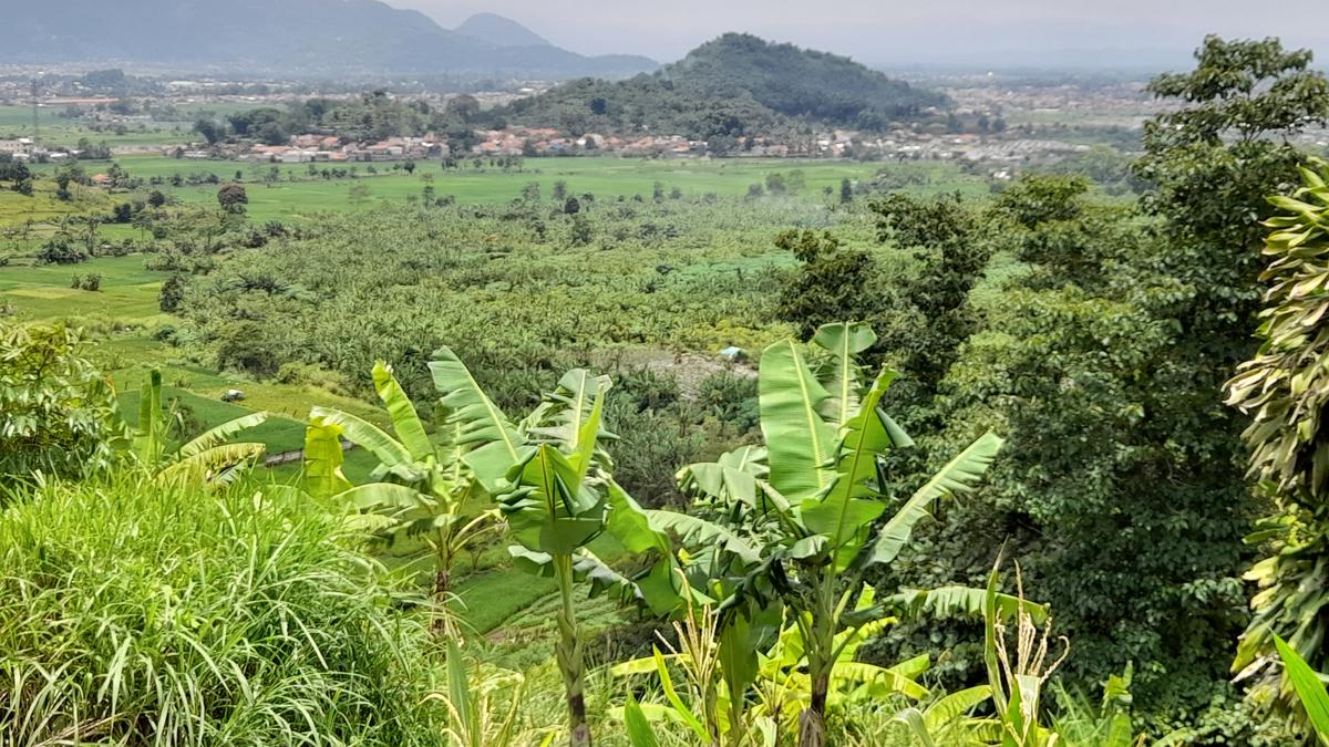 Napak Tilas ke Bekas TPA Leuwigajah, Lokasi Tragedi Lingkungan Terbesar di Indonesia karena Longsoran Gunung Sampah