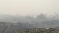 Perkebunan kelapa sawit di Kecamatan Kumpeh, Kabupaten Muaro Jambi, mengalami kebakaran pada tahun 2019. (Liputan6.com/Gresi Plasmanto)