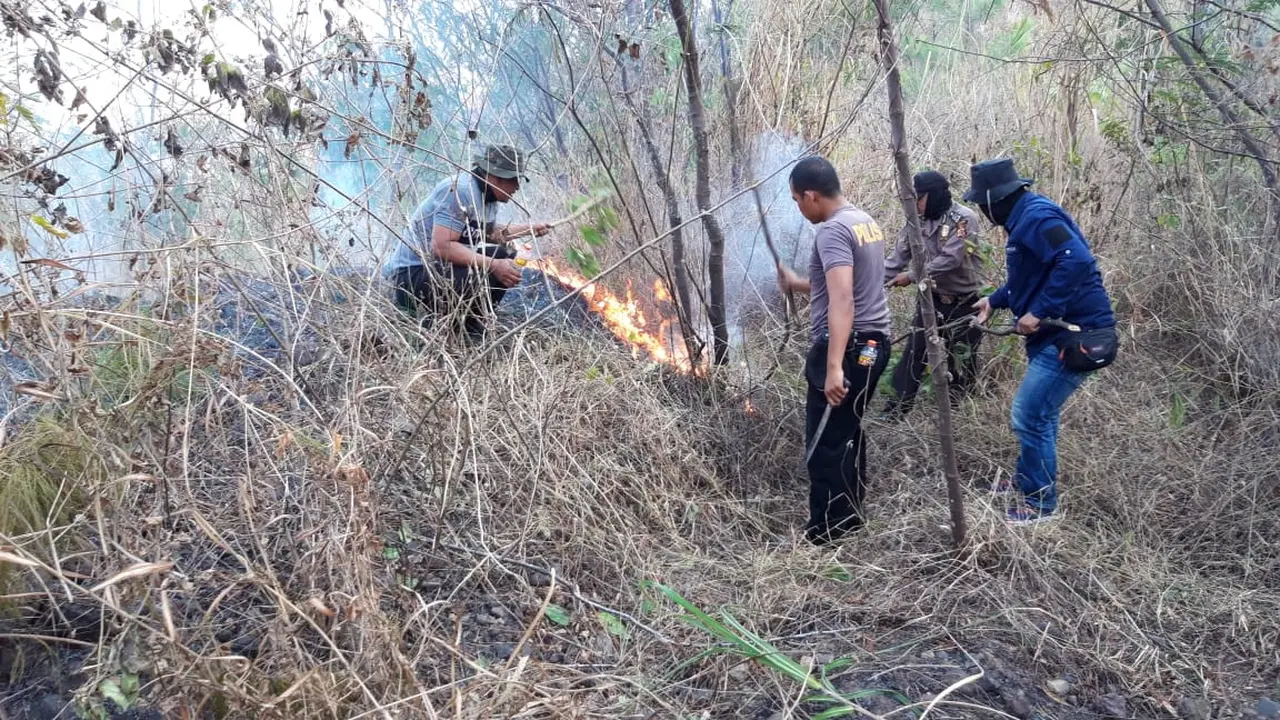 Dipimpin Kapolsek Tarogong kaler Ipda Asep Saepudin, nampak beberapa petugas gabungan TNI dan Polri tengah mengupayakan pemadaman kebaran hutan di blok lereng gunung Guntur, Garut