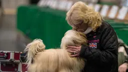 Seorang wanita mencium anjing Lhasa Apso-nya sebelum tampil pada hari kedua pertunjukan anjing Crufts di National Exhibition Centre di Birmingham, Inggris tengah, (9/3). (AFP Photo/Oli Scarff)