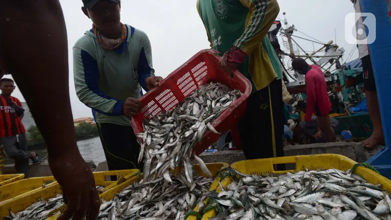 Nelayan Bongkar Hasil Tangkapan