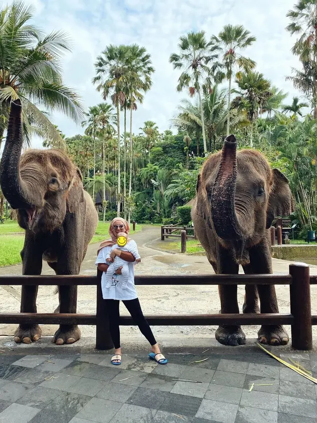 Momen Liburan Ammar Zoni dan Irish Bella di Bali. (Sumber: Instagram/_irishbella_ dan Instagram/ammarzoni)