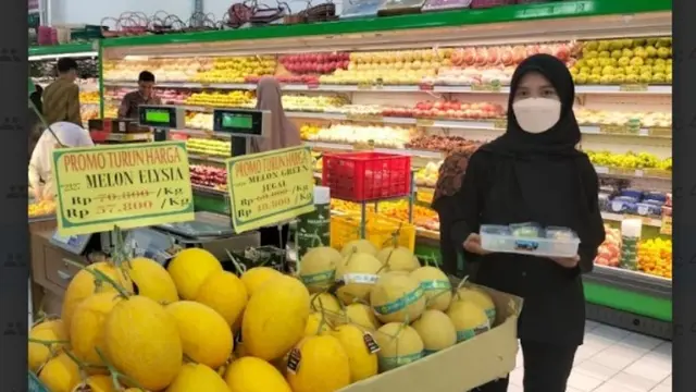 Panen Raya Budidaya Buah Melon Premium Hidroponik di Batusangkar.  foto: istimewa