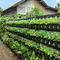 7 Desain Kebun Mini di Pagar Rumah Pakai Botol Plastik yang Mudah Dibuat