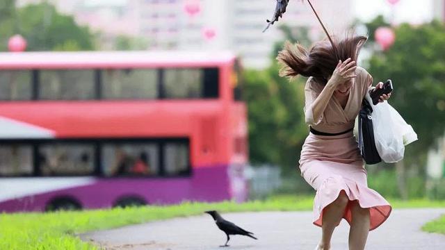 Penyerangan Burung Gagak