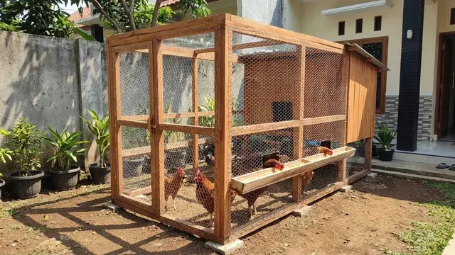 Desain Kandang Ayam Mini