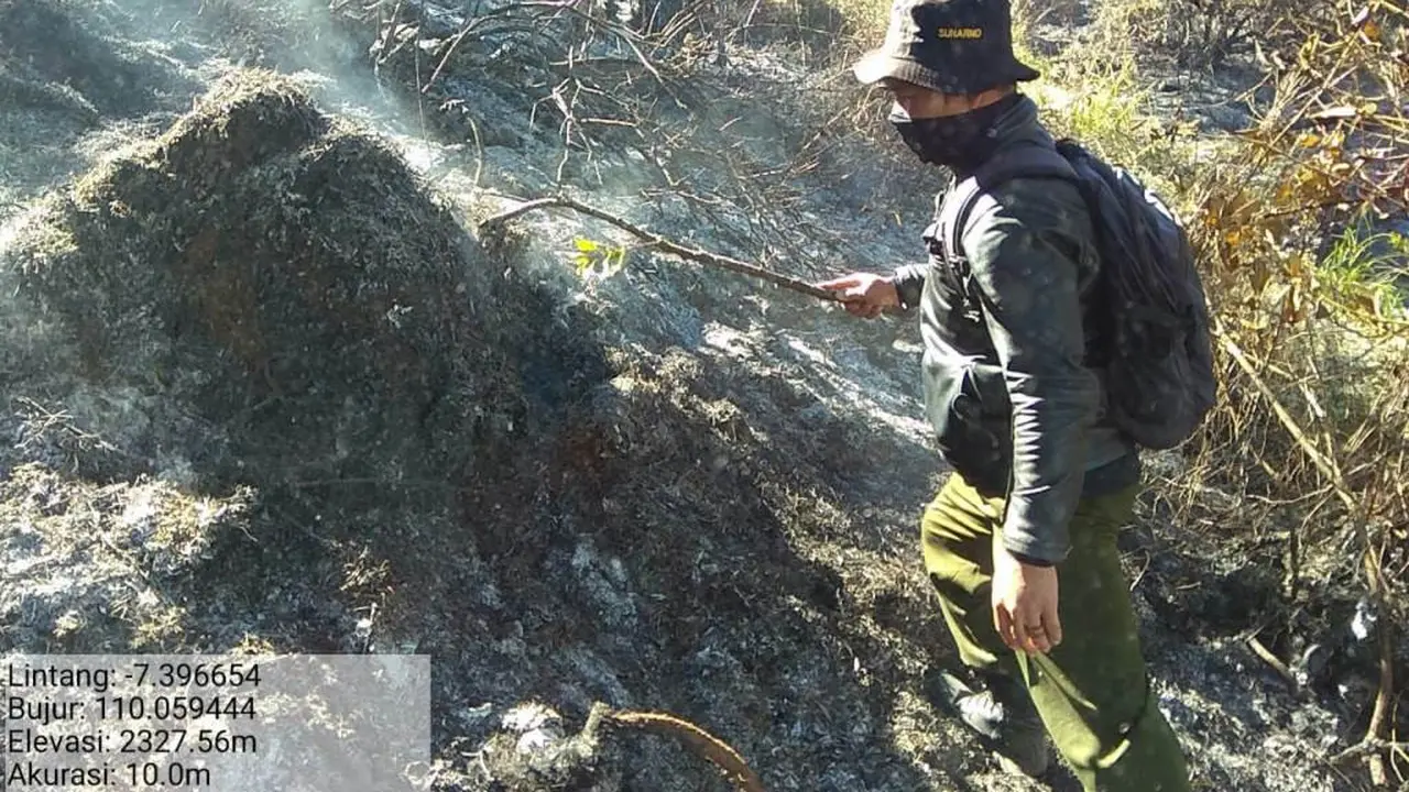 Petugas gabungan memadamkan kebakaran Gunung Sumbing dengan peralatan manual, Senin siang (12/8/2019). (Foto: Liputan6.com/BPBD Wonosobo/Muhamad Ridlo)