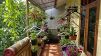 7 Kebun Mini Gantung dari Hanger Bekas, Cocok untuk Teras Rumah Kecil