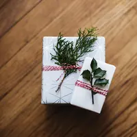 Inspirasi hadiah ulang tahun ramah lingkungan yang bermakna dan mendukung gaya hidup berkelanjutan untuk sahabat tersayang. (Foto: karishea/Pixabay)