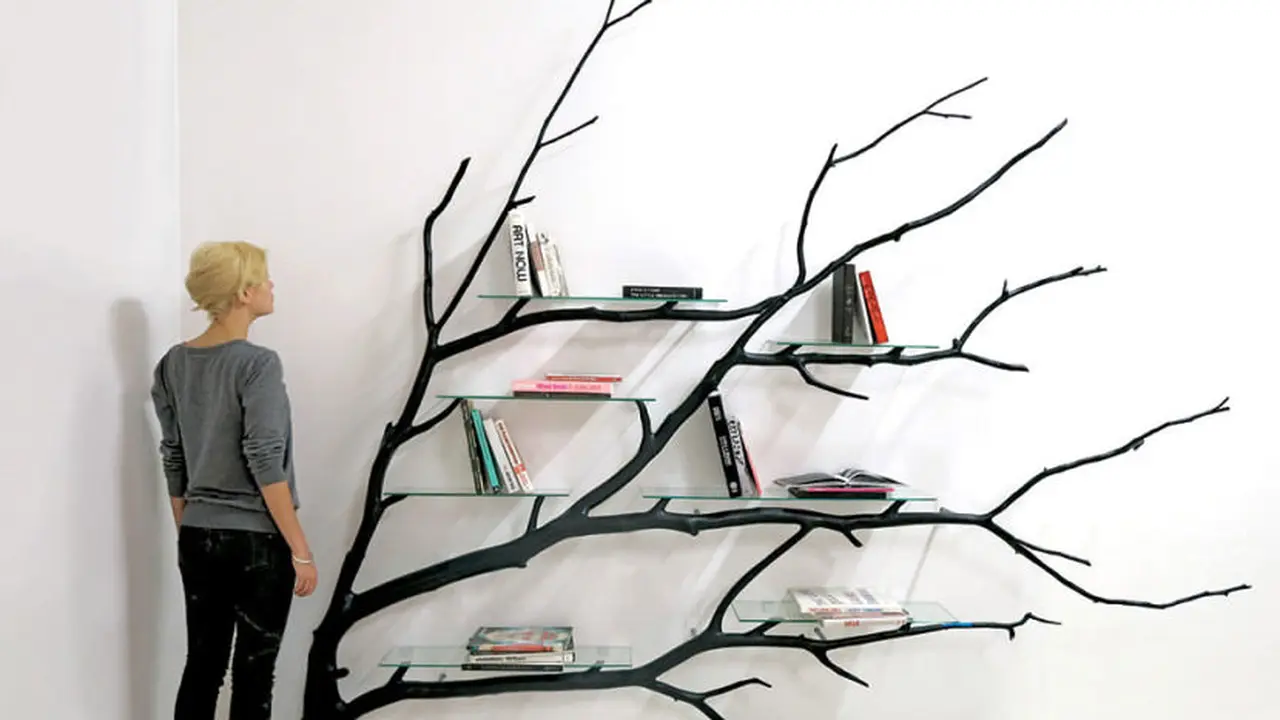 Pohon Tumbang Ini Punya Kehidupan Baru Sebagai Rak Buku