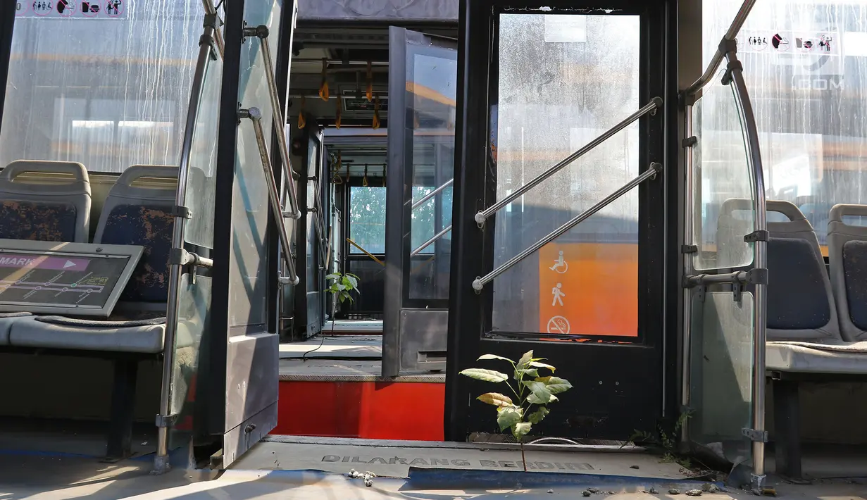 Kondisi bangkai bus Transjakarta yang mangkrak di terminal Pulogadung, Jakarta, Jumat (23/8/2019). Menurut petugas, sebanyak 36 bus transjakarta yang sudah terparkir sejak Oktober 2017 tersebut berada dalam kondisi rusak dan tidak terawat. (Liputan6.com/Herman Zakharia)