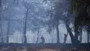 Petugas pemadam kebakaran menyemprotkan air ke dalam hutan saat terjadi kebakaran hutan di pinggiran kota Stamata, di utara Athena, Yunani, Senin, 4 September 2023. (AP Photo/Thanassis Stavrakis)