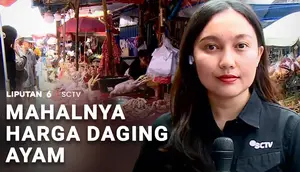 Mahalnya Harga Daging Ayam