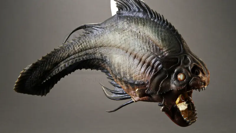 Ngeri, Ikan Berkepala Piranha Berbadan Lele Ditemukan di Rusia