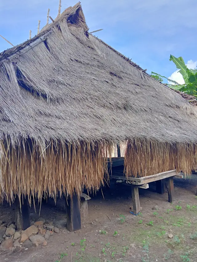 Rumah adat kampung Lewohala, di desa Jontona, kecamatan Ile Ape, Kabupaten Lembata (Liputan6.com/Ola Keda)