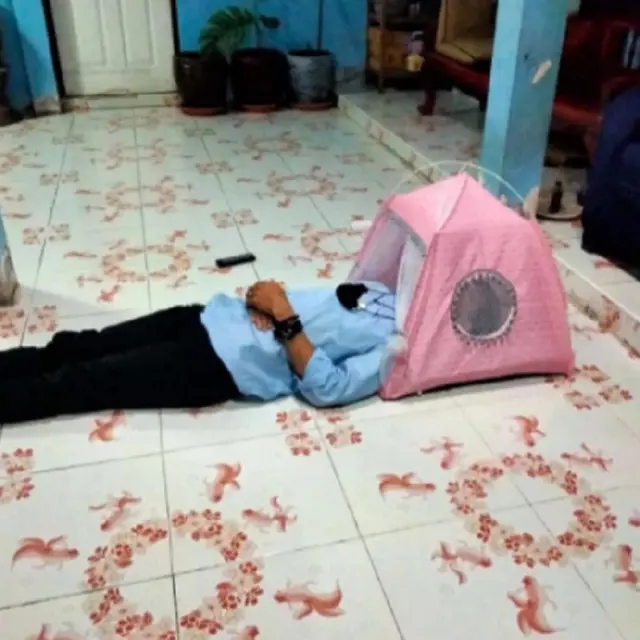 belanja online