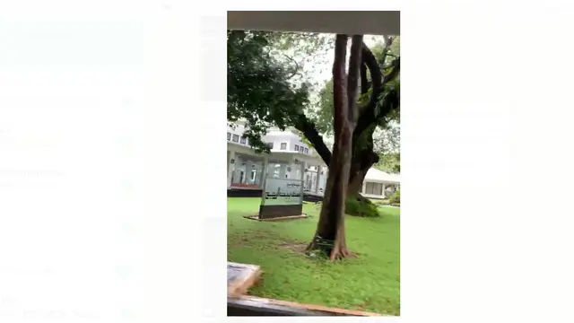 Istana Kepresidenan Jakarta sudah kembali kering usai banjir akibat hujan deras yang mengguyur Ibu Kota pada Selasa (25/2/2020) dini hari.