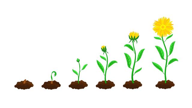 Ilustrasi progres, kemajuan