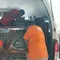 Dari Apartemen di India, Rocky si Orangutan Akhirnya Pulang ke Indonesia