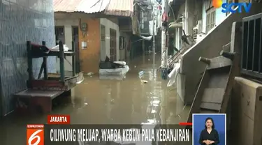 Diduga kuat banjir terjadi akibat air kiriman dari kawasan Bogor, Jawa Barat.