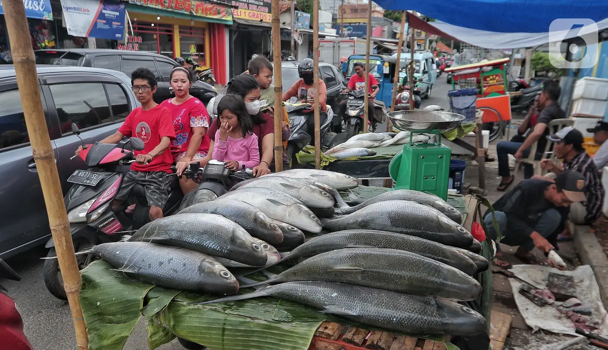 <p>Pembeli memilih ikan bandeng yang di jual di Rawa Belong, Jakarta, Jumat (20/1/2023). Penjual bandeng musiman ini menjual daganganya jelang perayaan Imlek yang dijual dengan harga mulai dari Rp. 50.000 hingga Rp. 90.000 per kilonya. (Liputan6.com/Angga Yuniar)</p>
